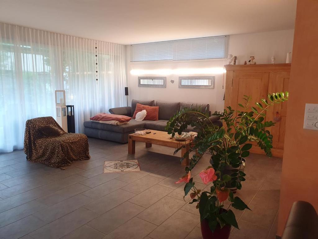 Casa Nadja, Naehe Skigebiet Flims-Lax Ems Экстерьер фото